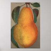 Fruit Chromo Lithograaf van Bartlett Pear Poster (Voorkant)