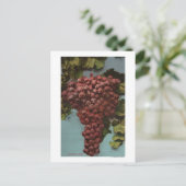 Fruit Chromo Lithograaf van California Grapes Briefkaart (Staand voorkant)