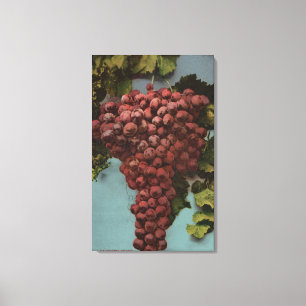 Fruit Chromo Lithograaf van California Grapes Canvas Afdruk