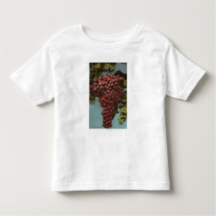 Fruit Chromo Lithograaf van California Grapes Kinder Shirts