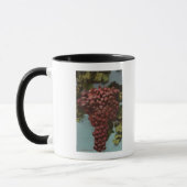 Fruit Chromo Lithograaf van California Grapes Mok (Links)