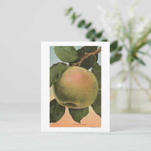 Fruit Chromo Lithograaf van Newtown Pippen Briefkaart (Staand voorkant)