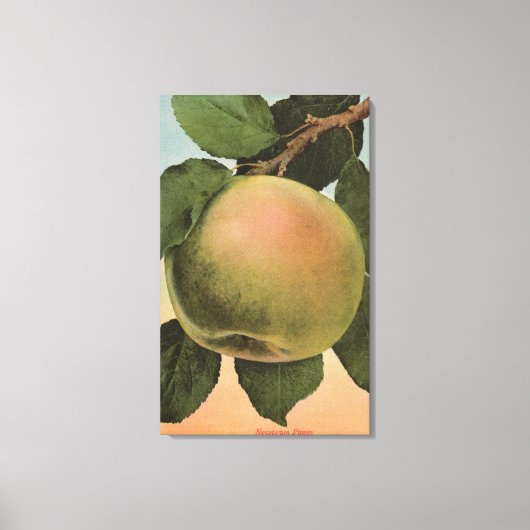 Fruit Chromo Lithograaf van Newtown Pippen Canvas Afdruk (Voorkant)
