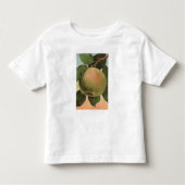 Fruit Chromo Lithograaf van Newtown Pippen Kinder Shirts (Voorkant)
