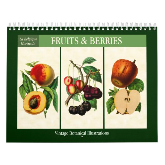 Fruit en bessen Botanisch 2026 Kalender (Hoes)