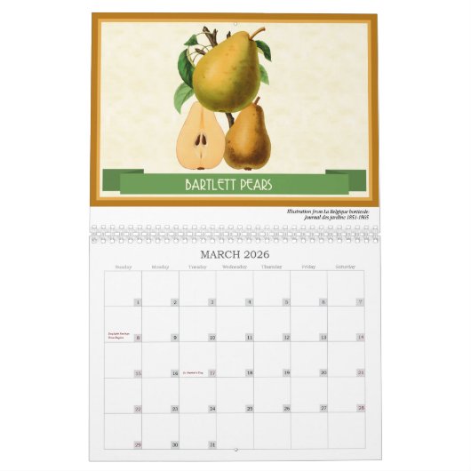 Fruit en bessen  Botanisch 2026 Kalender (Mar 2026)