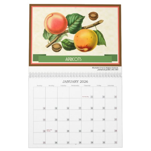 Fruit en bessen Botanisch 2026 Kalender (Jan 2026)