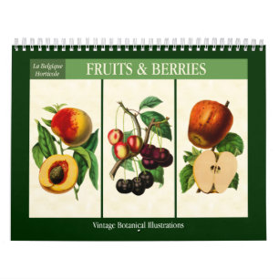 Fruit en Bessen Vintage Botanisch 2027 Kalender