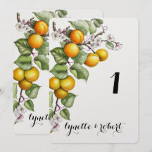 Fruit en Bloemenschildering in Waterverf Tafelnumm