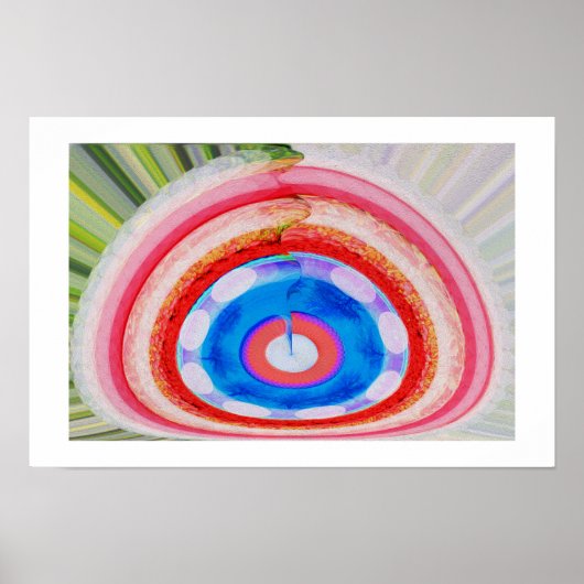 Fruit en zaden poster (Voorkant)