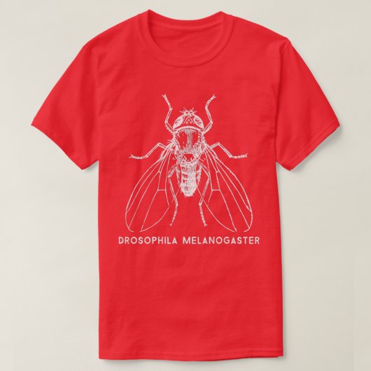 Fruit Fly Drosophila Melanogaster for Gene Researc T-shirt (Design voorkant)
