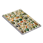 Fruit Groente Botanische Wetenschappelijke Illustr Notitieboek (Rechterzijde)