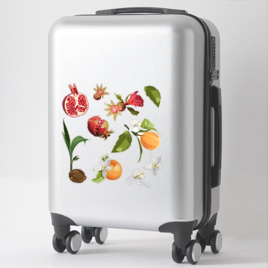 Fruit. Kokosnoot. Pomegranate. Orange. Sticker (Koffer)