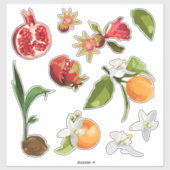Fruit. Kokosnoot. Pomegranate. Orange. Sticker (Vel)