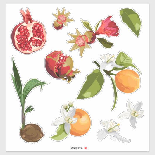 Fruit. Kokosnoot. Pomegranate. Orange. Sticker (Vel)