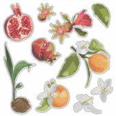 Fruit. Kokosnoot. Pomegranate. Orange. Sticker (Voorkant)