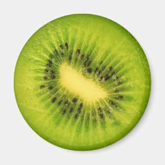 Fruit magneet serie -Kiwi-