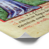 Fruit of Mandrake, from' Tacuinum Sanitatis' Poster (Hoek)