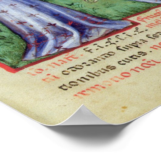 Fruit of Mandrake, from' Tacuinum Sanitatis' Poster (Hoek)