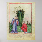 Fruit of Mandrake, from' Tacuinum Sanitatis' Poster (Voorkant)
