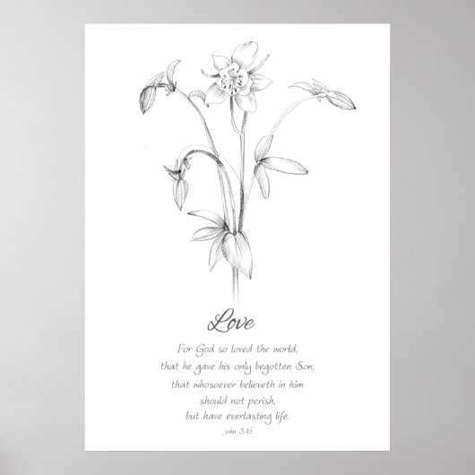 Fruit of the Spirit John 3:16 Love Scripture Bijbe Poster (Voorkant)