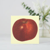  fruit, organische rode heerlijke appel (Staand voorkant)