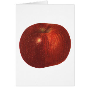  fruit, organische rode heerlijke appel