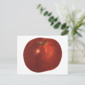  fruit, organische rode heerlijke appel briefkaart (Staand voorkant)