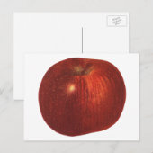  fruit, organische rode heerlijke appel briefkaart (Voorkant / Achterkant)