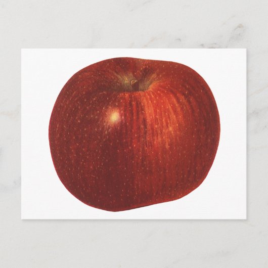  fruit, organische rode heerlijke appel briefkaart (Voorkant)