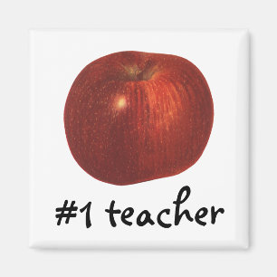 fruit, organische rode heerlijke appel magneet