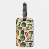 Fruit plantaardige botanische wetenschappelijke il bagagelabel (Achterkant verticaal)