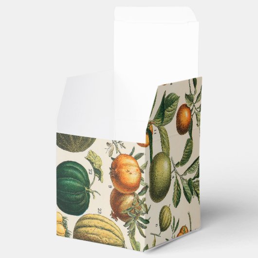 Fruit plantaardige botanische wetenschappelijke il bedankdoosjes (Geopend)