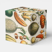 Fruit plantaardige botanische wetenschappelijke il bedankdoosjes (Achterkant)