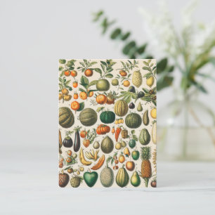 Fruit plantaardige botanische wetenschappelijke il briefkaart