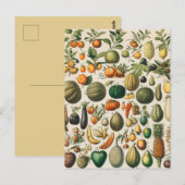 Fruit plantaardige botanische wetenschappelijke il briefkaart (Voorkant / Achterkant)