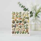 Fruit plantaardige botanische wetenschappelijke il briefkaart (Staand voorkant)