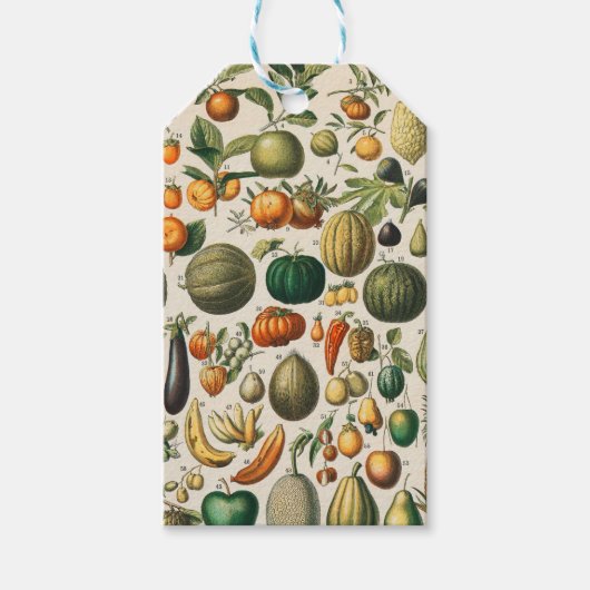Fruit plantaardige botanische wetenschappelijke il cadeaulabel (Voorkant)