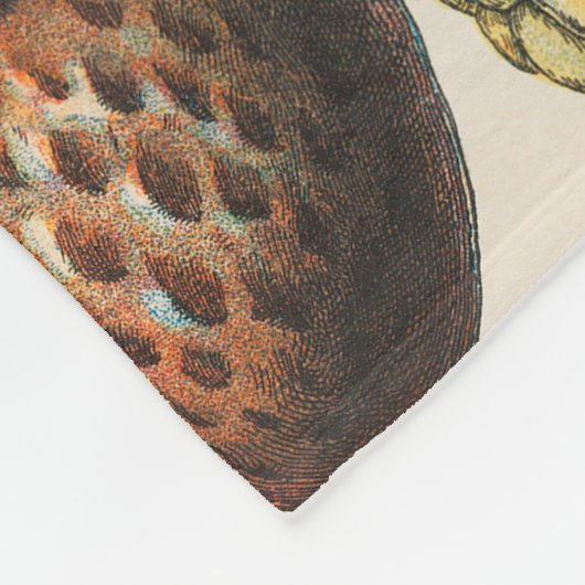 Fruit plantaardige botanische wetenschappelijke il fleece deken (Hoek)