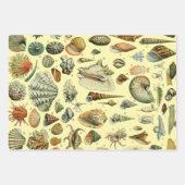 Fruit plantaardige botanische wetenschappelijke il inpakpapier vel (Voorkant 2)