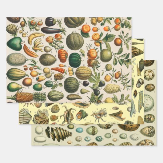 Fruit plantaardige botanische wetenschappelijke il inpakpapier vel (Set)