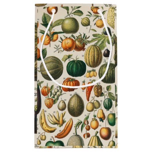 Fruit plantaardige botanische wetenschappelijke il klein cadeauzakje (Achterkant)