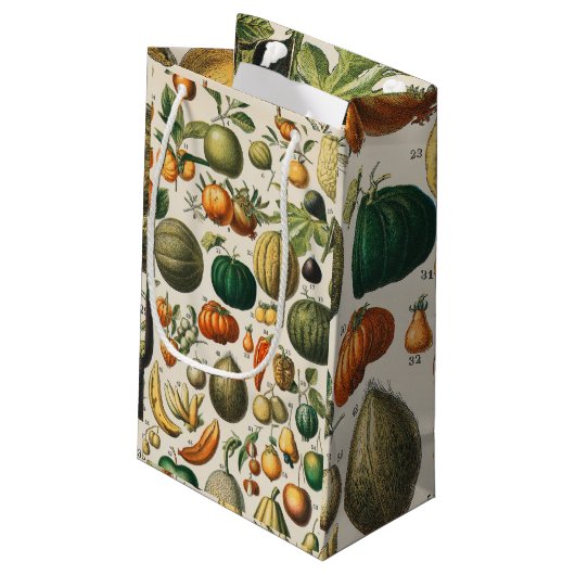 Fruit plantaardige botanische wetenschappelijke il klein cadeauzakje (Achterkant Gekanteld)