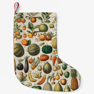 Fruit plantaardige botanische wetenschappelijke il kleine kerstsok