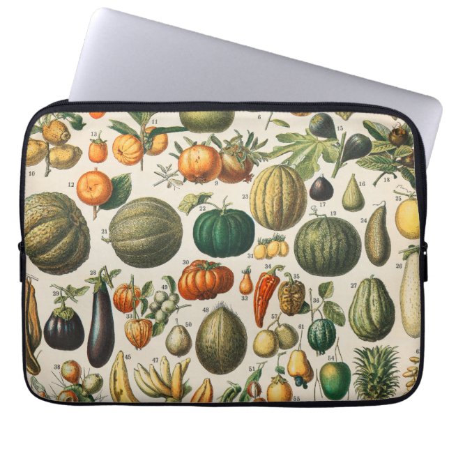 Fruit plantaardige botanische wetenschappelijke il laptop sleeve (Voorkant)