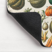 Fruit plantaardige botanische wetenschappelijke il muismat (Hoek)