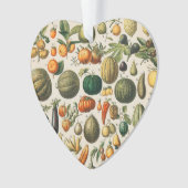 Fruit plantaardige botanische wetenschappelijke il ornament (voorkant)