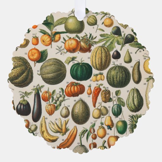 Fruit plantaardige botanische wetenschappelijke il ornament kaart (Voorkant)