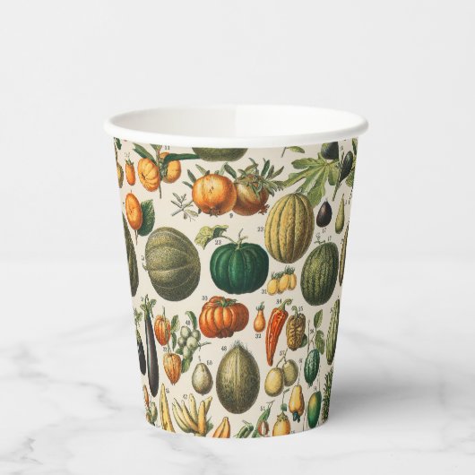 Fruit plantaardige botanische wetenschappelijke il papieren bekers (Links)