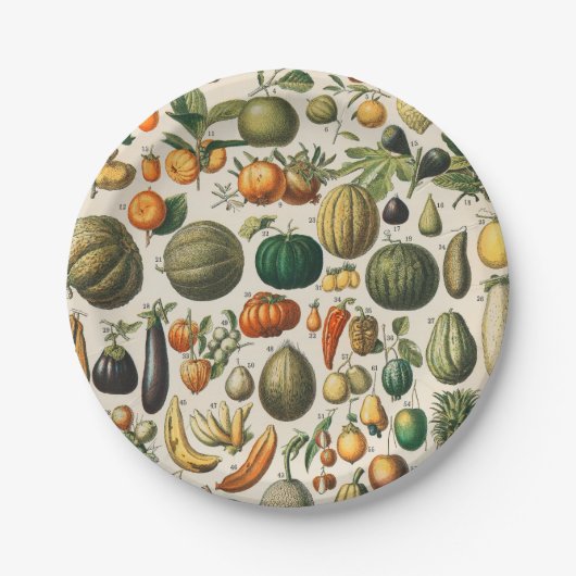 Fruit plantaardige botanische wetenschappelijke il papieren bordje (Voorkant)